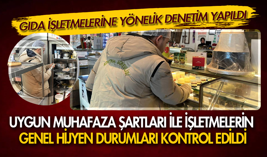 Gıda işletmelerine yönelik denetim yapıldı